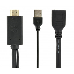 Gembird A-HDMIM-DPF-01 Active 4K HDMI to DisplayPort Adapter Black