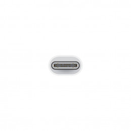 Apple USB-C to Lightning Adapter