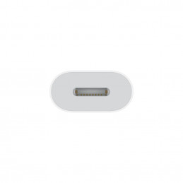 Apple USB-C to Lightning Adapter