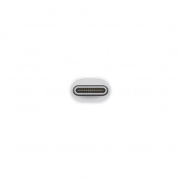 Apple Thunderbolt 3 (USB-C) to Thunderbolt 2 Adapter White