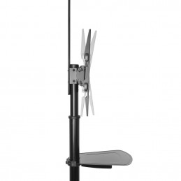 ACT AC8370 Mobile tv/monitor floor stand 37" up to 70" VESA Black