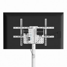 Gembird TVS-86TR-01-W TV floor stand  37"-86" White