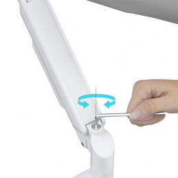 Gembird Desk mounted adjustable double monitor arm 17"-32" White