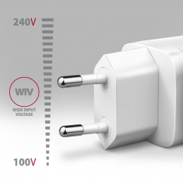 AXAGON ACU-DPQ65W QC4 + USB-C PD Wall Charger White