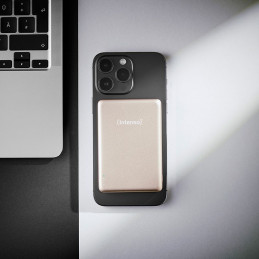 Intenso MW5000 5000mAh PowerBank Champagne