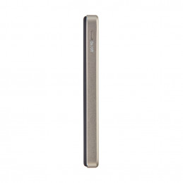 Intenso MW10000 10000mAh PowerBank Champagne