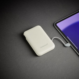 Intenso S10000 10000mAh + Integriertes USB-C PowerBank Beige