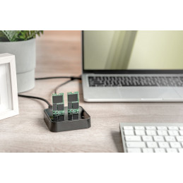 Digitus Dual M.2 NVMe SSD Docking Station with Offline Clone Function USB-C Black