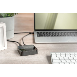 Digitus Dual M.2 NVMe SSD Docking Station with Offline Clone Function USB-C Black