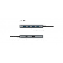 Raidsonic IcyBox IB-DK4022a-CPD USB Type-C Dockingstation