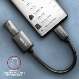 AXAGON RUCM-AFAC USB-C  USB-A Adapter Silver