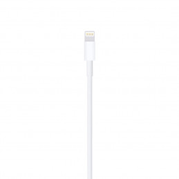 Apple Lightning to USB Cable 1m White