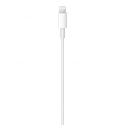 Apple USB-C - Lightning Cable 1m White