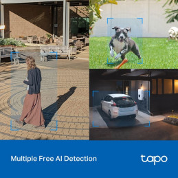 TP-Link Tapo C520WS Outdoor Pan/Tilt Security WiFi Camera