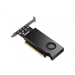 PNY RTX A2000E 16GB DDR6 ADA OEM