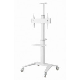 Gembird TVS-70T-02-W Aluminum TV floor stand with caster wheels 37"-70" White