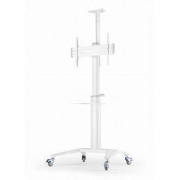 Gembird TVS-70T-02-W Aluminum TV floor stand with caster wheels 37"-70" White