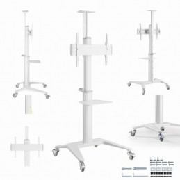 Gembird TVS-70T-02-W Aluminum TV floor stand with caster wheels 37"-70" White