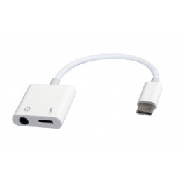 Gembird A-CM-3.5FP-01  USB type-C plug to stereo 3.5 mm audio adapter cable with extra power socket white