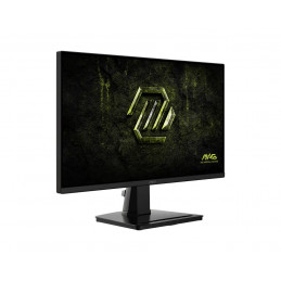 Msi 24,5" MAG 256F E20 IPS LED