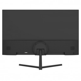 Dahua 23,8" LM24-B201S IPS LED