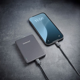 Intenso MW10000 10000mAh PowerBank Grey