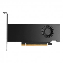 PNY RTX PRO 2000 Blackwell 16GB DDR7