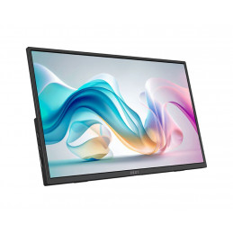 Msi 15,6" Pro MP165 E6 IPS LED