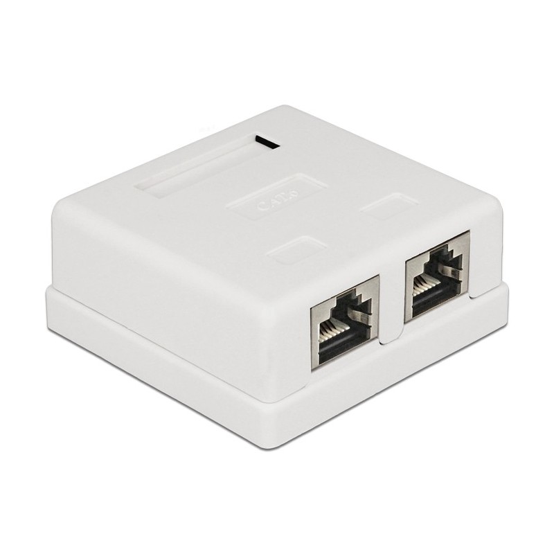 https://compmarket.hu/products/110/110789/delock-modular-wall-outlet-2-port-cat-6_1.jpg