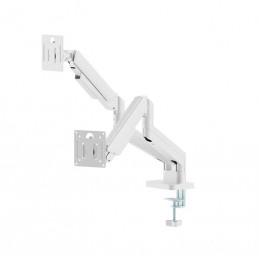 Gembird Desk mounted adjustable double monitor arm 17"-32" White