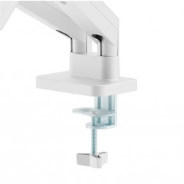 Gembird Desk mounted adjustable double monitor arm 17"-32" White