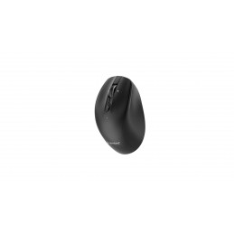 Gembird MUSW2-6B-02 Dual-Mode Wireless Bluetooth Mouse Black