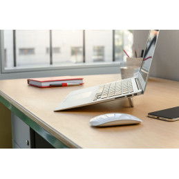 FIXED Frame Mini aluminum notebook illetve tablet állvány Silver