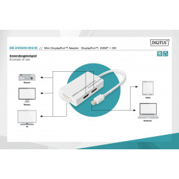 Digitus Mini DisplayPort Adapter/Converter Mini DP to DisplayPort HDMI+DVI 0,2m White
