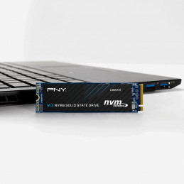 PNY 1TB M.2 2280 NVMe CS2241