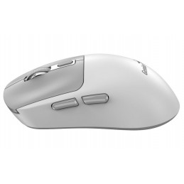 Genius NX-8260S Wireless Bluetooth Mouse White