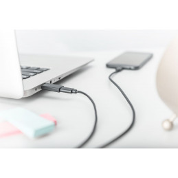 Digitus USB Type-C male/famale adapter Black