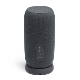 https://compmarket.hu/products/246/246863/jbl-link-portable-speaker-grey_3.jpg