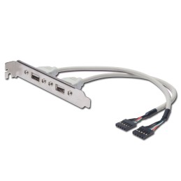 https://compmarket.hu/products/152/152035/usb-slot-bracket-cable-2x-type-a-2x5pin-idc_1.jpg