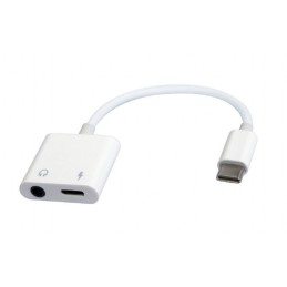 https://compmarket.hu/products/252/252808/gembird-a-cm-3.5fp-01-usb-type-c-plug-to-stereo-3.5-mm-audio-adapter-cable-with-extra-